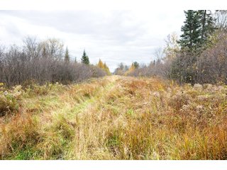 Property photo 31 - REAL ESTATE AUCTION - 1,428+/- ACRES OFFERED IN 10 TRACTS IN PRICE CO., WI